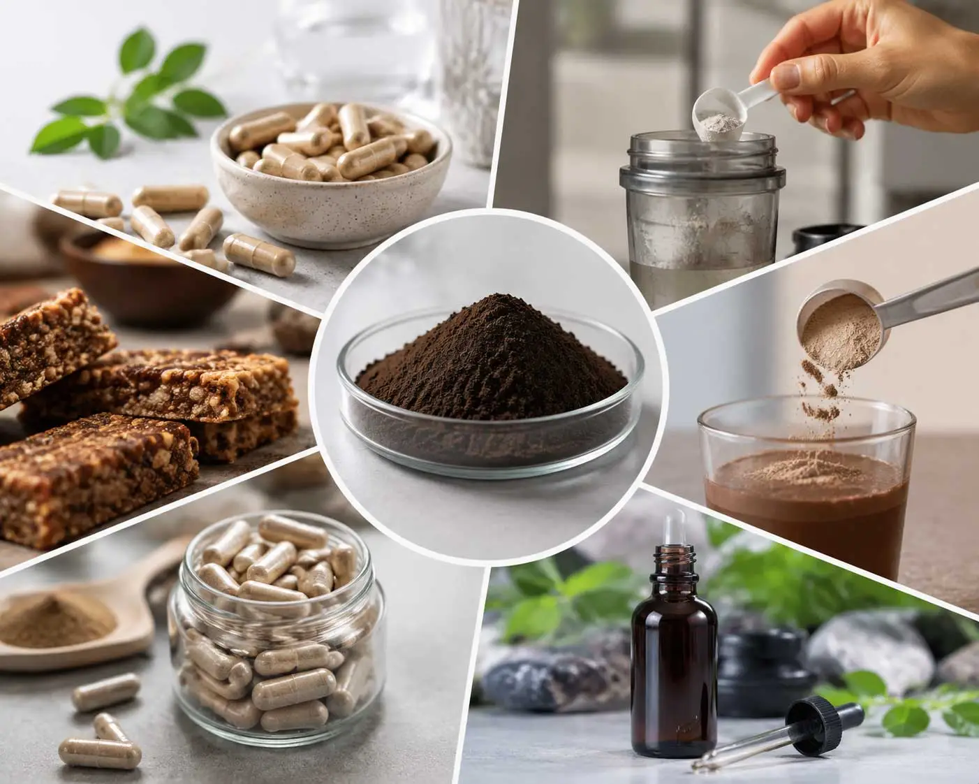 shilajit-extract-powder-supplement-formulation-applications shilajit-extract-powder-supplement-formulation-applications