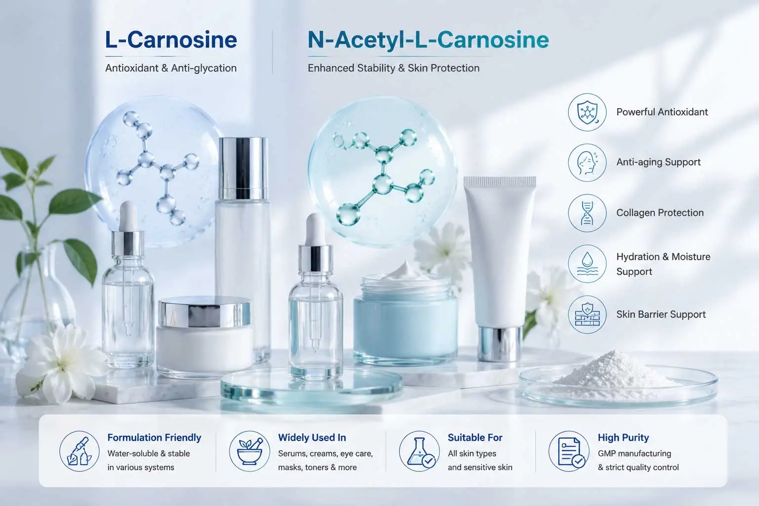 supplement-cosmetic-formulation-l-carnosine-n-acetyl-applications