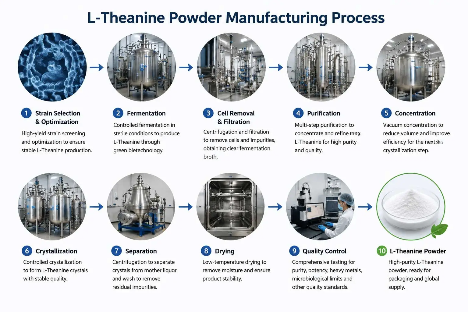 l-theanine-fermentation-manufacturing-process-amino-acid-powder l-theanine-fermentation-manufacturing-process-amino-acid-powder