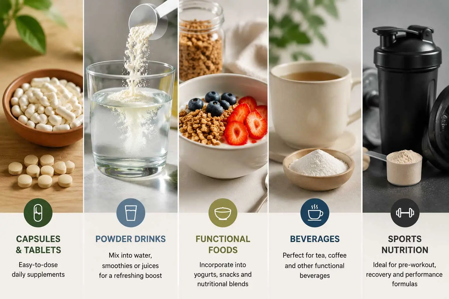 l-theanine-powder-supplement-formulation-functional-beverage-mix
