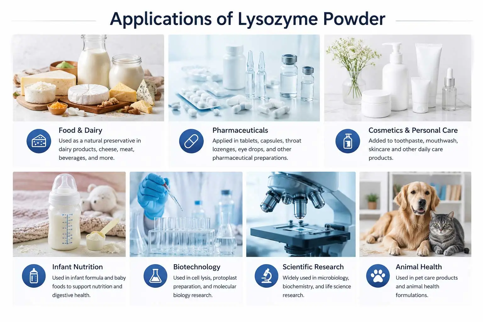 Applications-lysozyme-powder Applications-lysozyme-powder