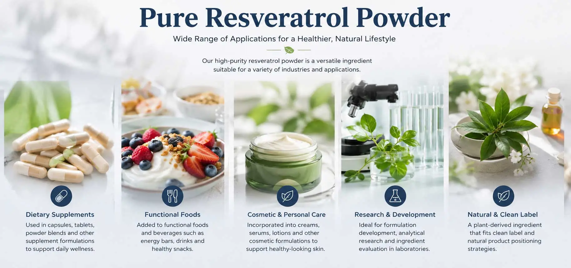 Resveratrol-Powder-applications
