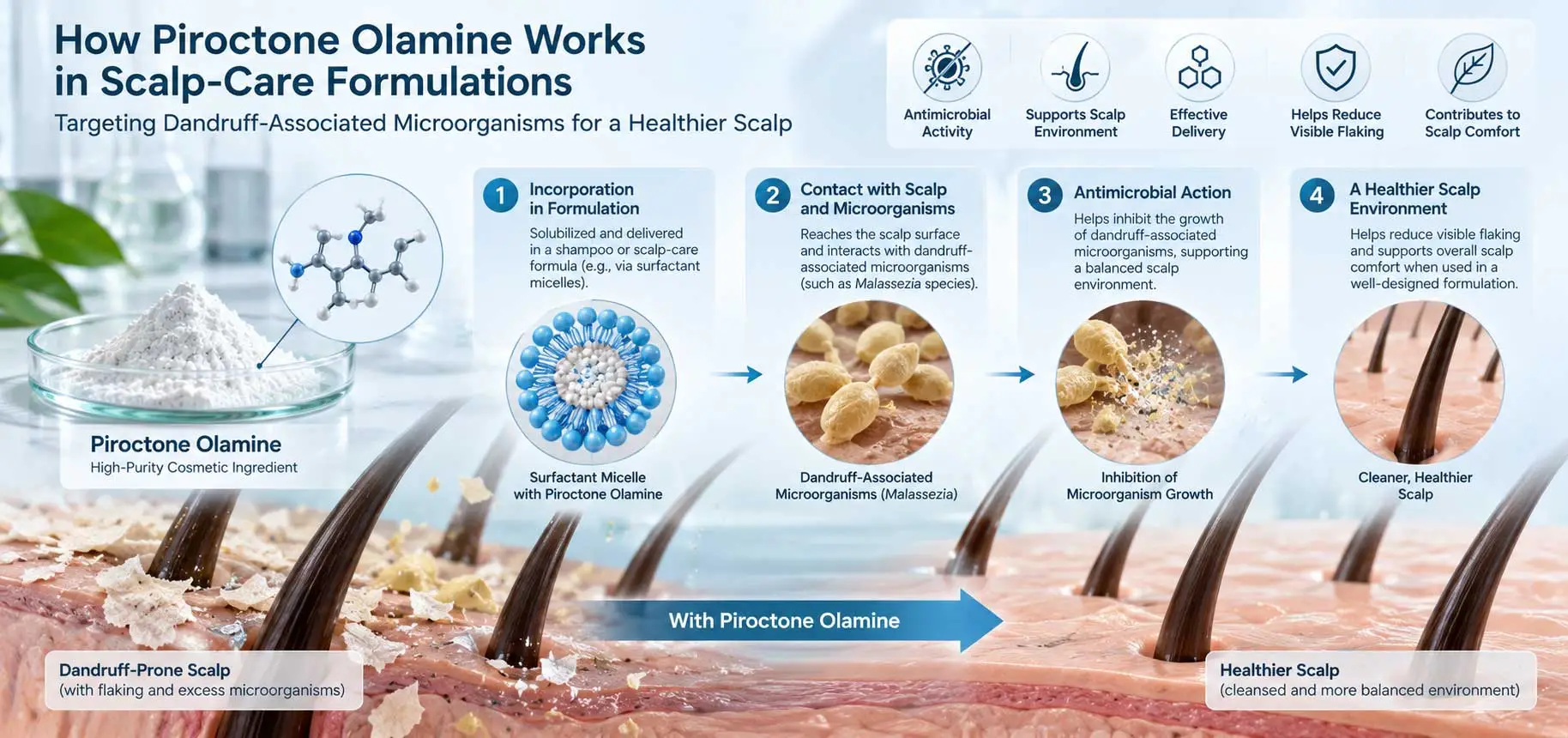 how-piroctone-olamine-works-scalp how-piroctone-olamine-works-scalp