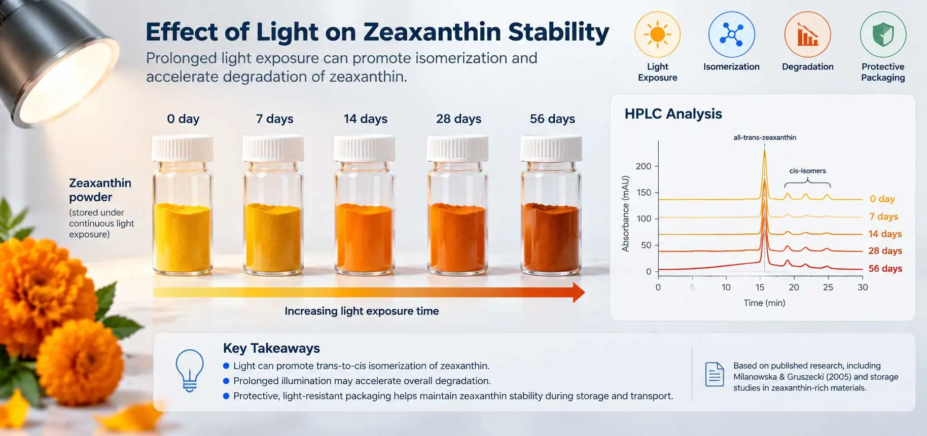 zeaxanthin-light-stability