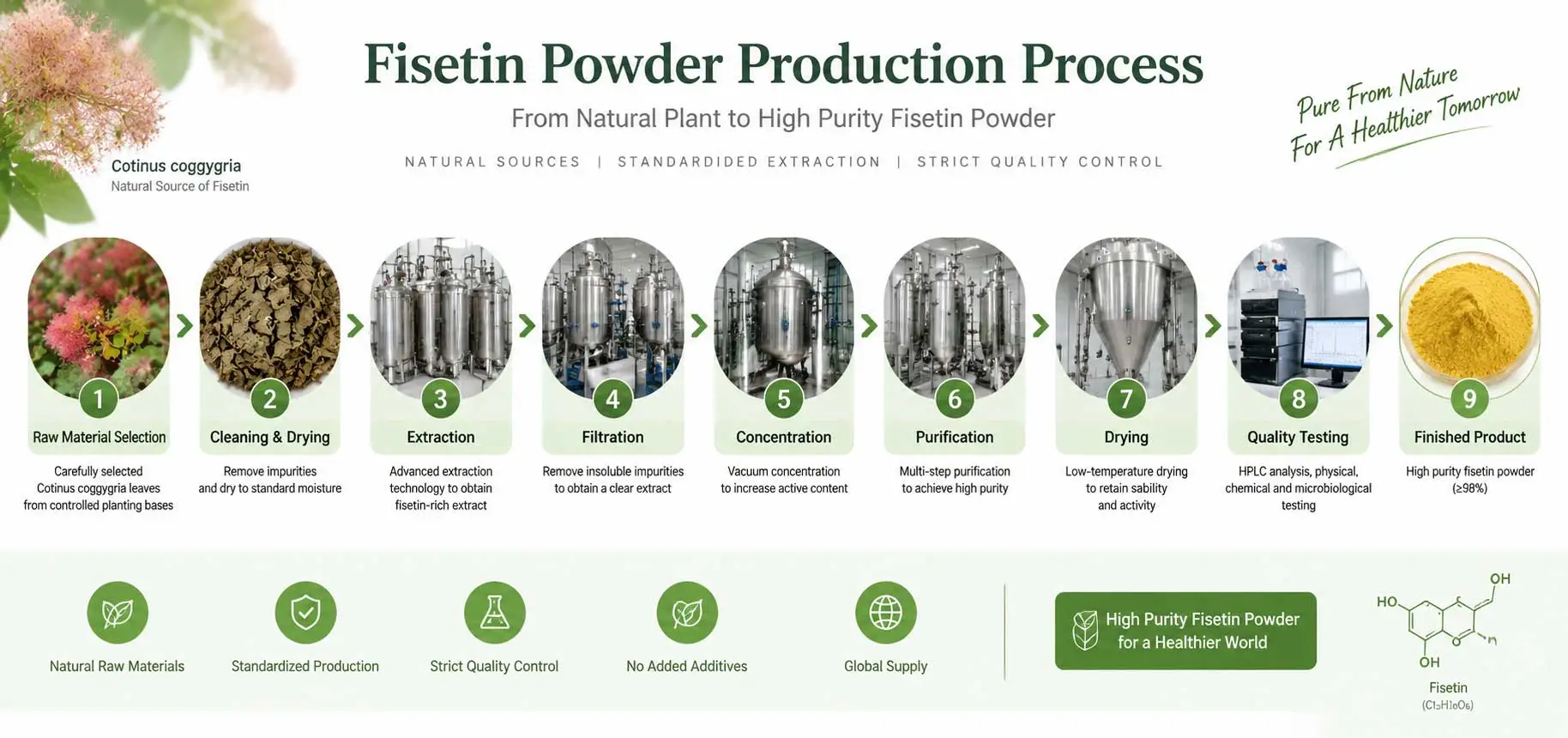 fisetin-powder-manufacturer-factory