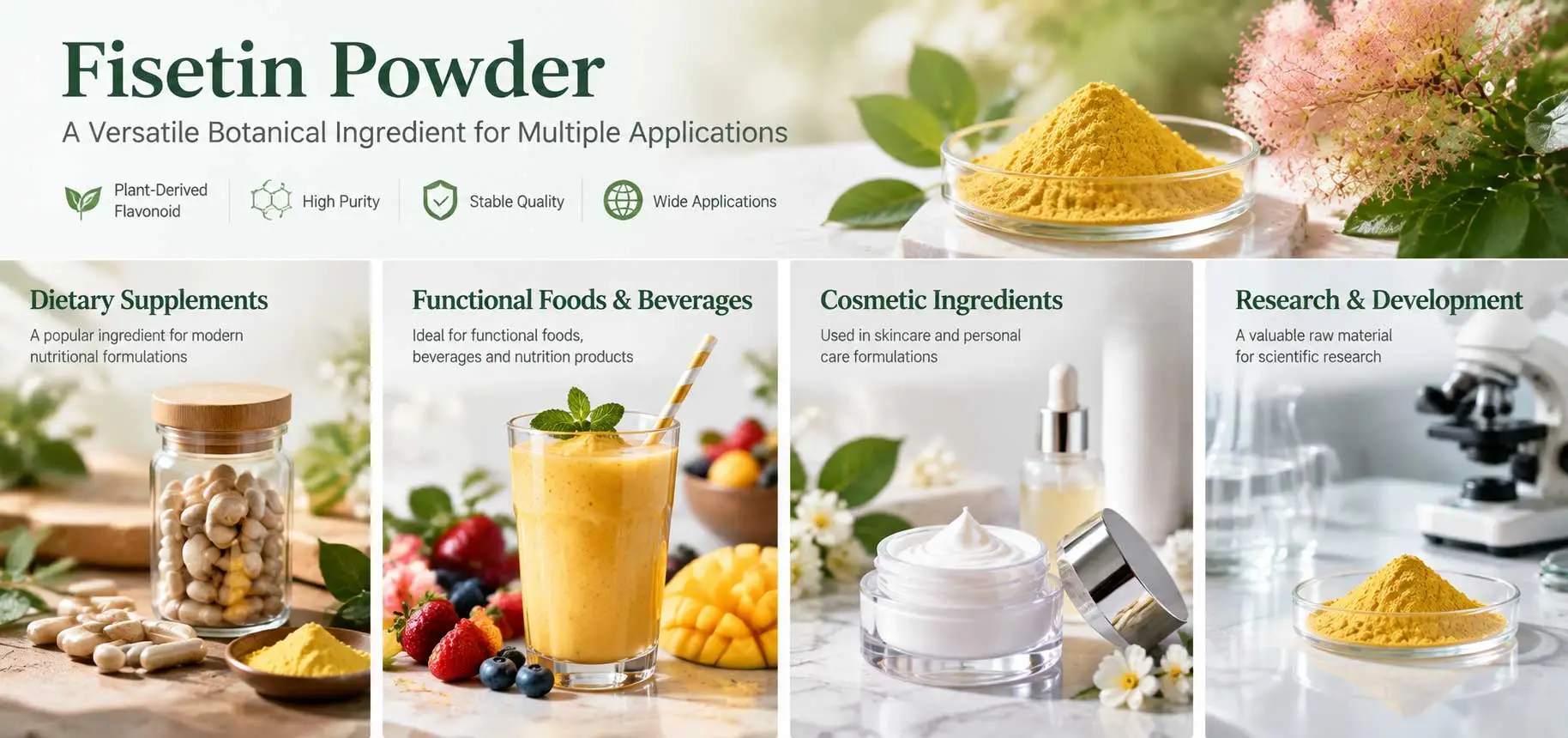 fisetin-powder-applications