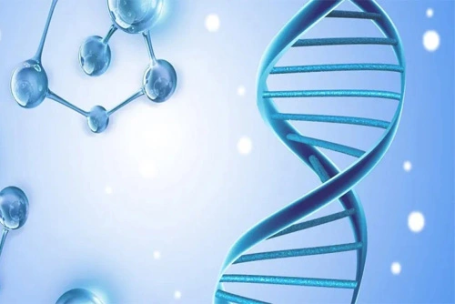 A major breakthrough about Rhamnolipids.