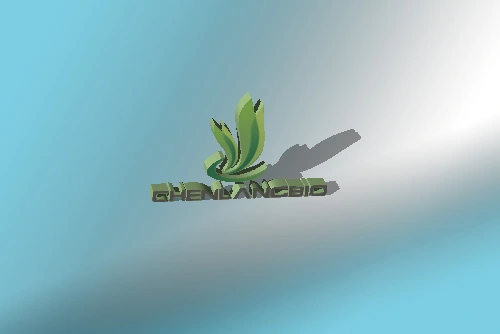 Holiday Announcement Ng 2022 Spring Festival