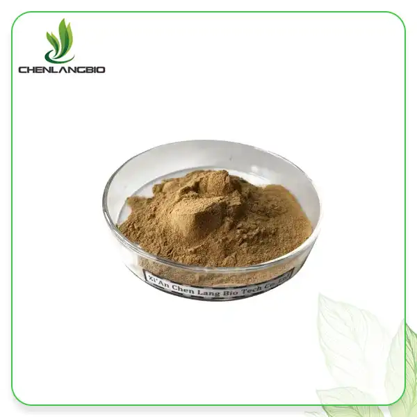 Phellinus Linteus Extract ዱቄት