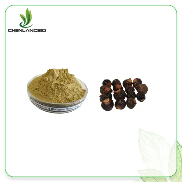 Soapnut Extract ዱቄት