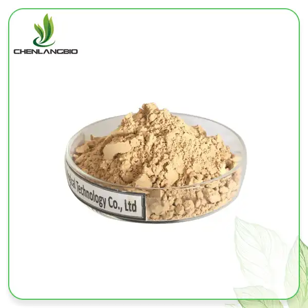 Camellia Oleifera Seed Extract hmoov