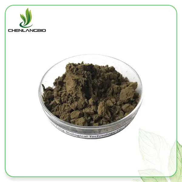 Ajuga Turkestanica Extract hmoov