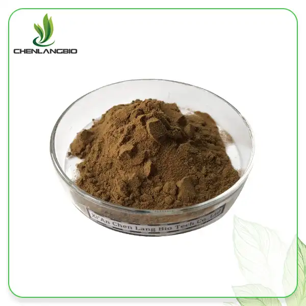 Reishi እንጉዳይ የማውጣት ዱቄት