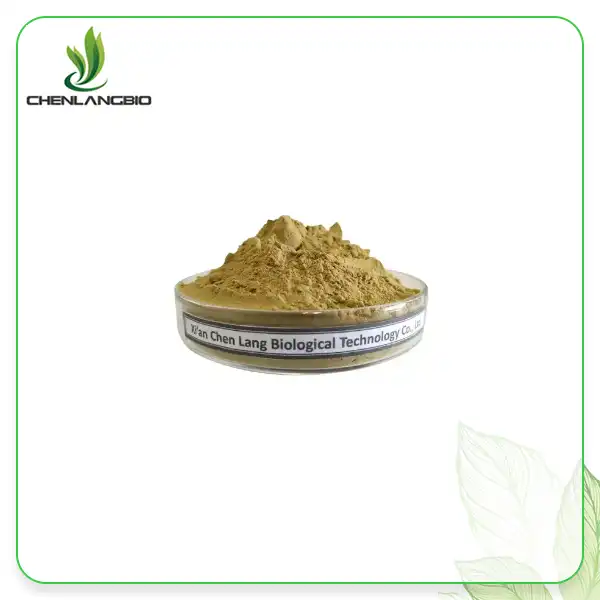 Bacopa Monnieri Extract ዱቄት