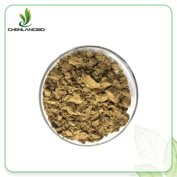 Echinacea የማውጣት ዱቄት