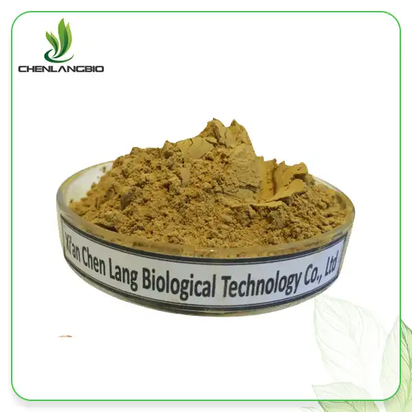 Pine koob Extract