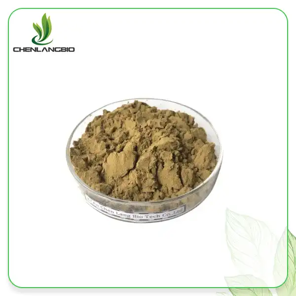 Asidi ya Chicoric ya Echinacea