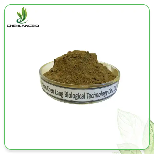 Acanthopanax Senticosus ሥር ማውጣት