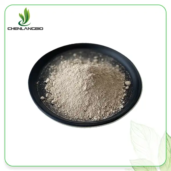 Garcinia Cambogia Extraction Powder