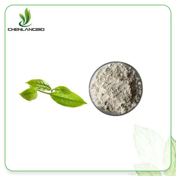 አረንጓዴ ሻይ ከ EGCG ዱቄት ማውጣት