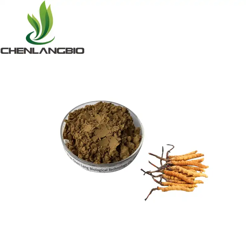 Cordyceps Sinensis hmoov