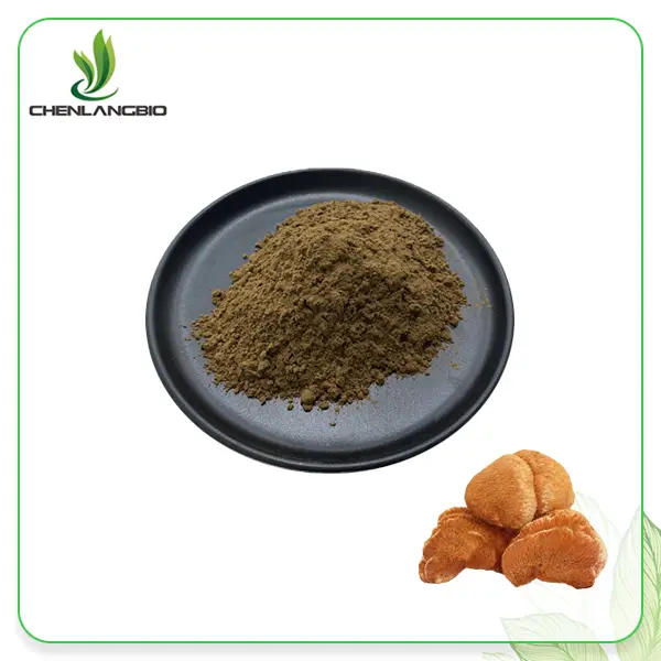 Lion's Mane Extract Powder