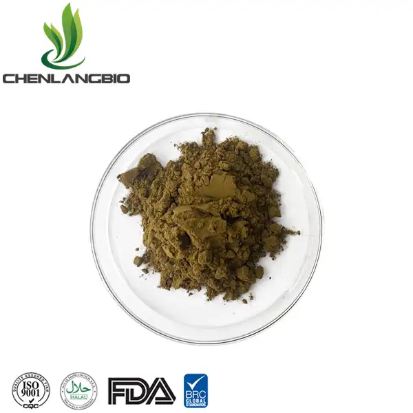Mulberry nplooj Extract hmoov