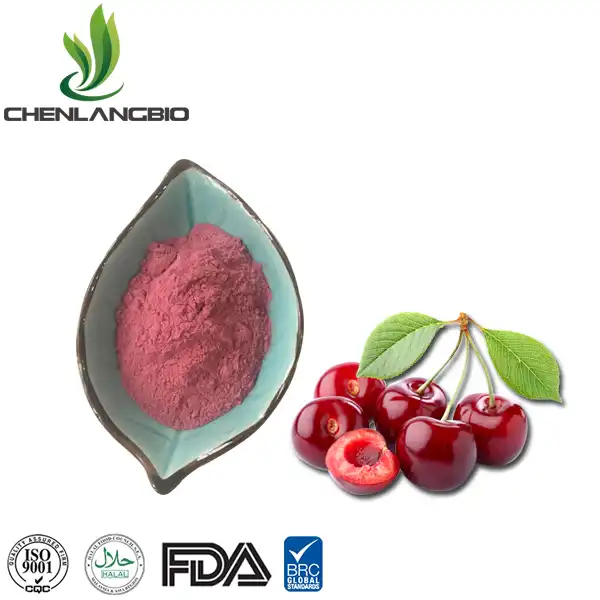Polvere di estratto di ciliegia acerola