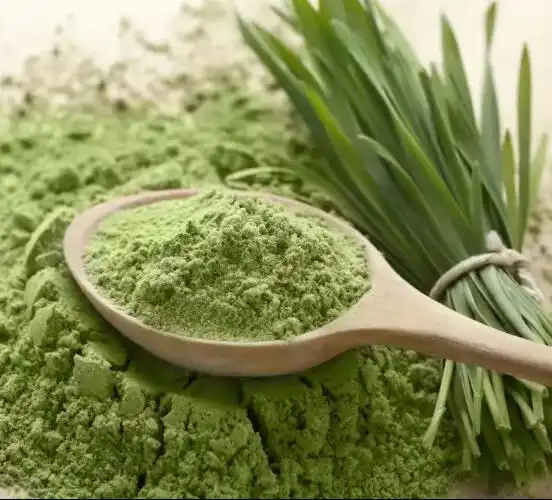 Pure Barley Grass Powder