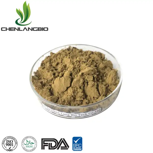 Echinacea Extract Powder