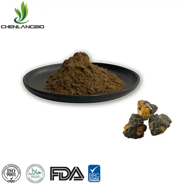 Chaga Mushroom Extract Powder