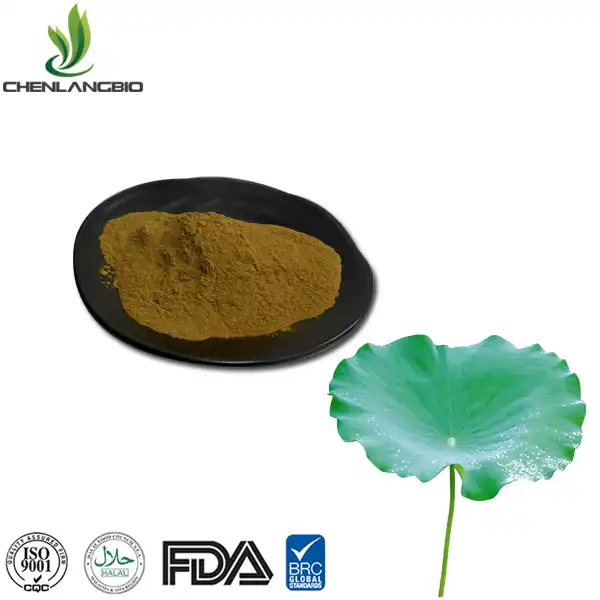 Lotus nplooj Extract hmoov
