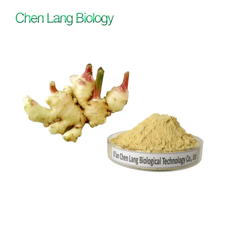 Ginger Extract Powder