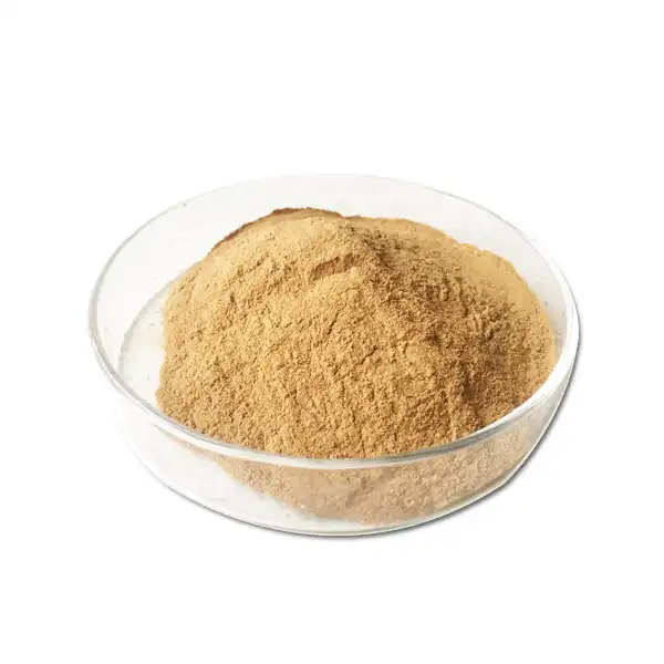 Angelica Root Extract