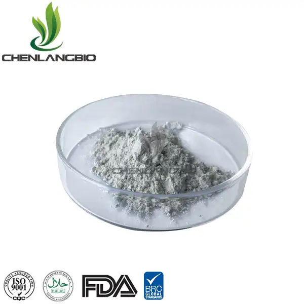 Nefiracetam Powder